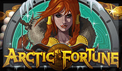 игровой автомат Arctic Fortune