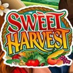 игровой автомат Sweet Harvest