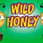 игровой автомат Wild Honey