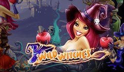игровой автомат Wild Witches