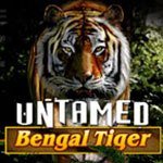 игровой автомат Untamed Bengal Tiger