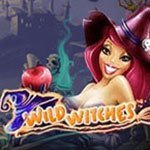 игровой автомат Wild Witches